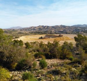 Terrenos en la partida de Carrús de Elche. Terrenos en la partida de Carrús de Elche.