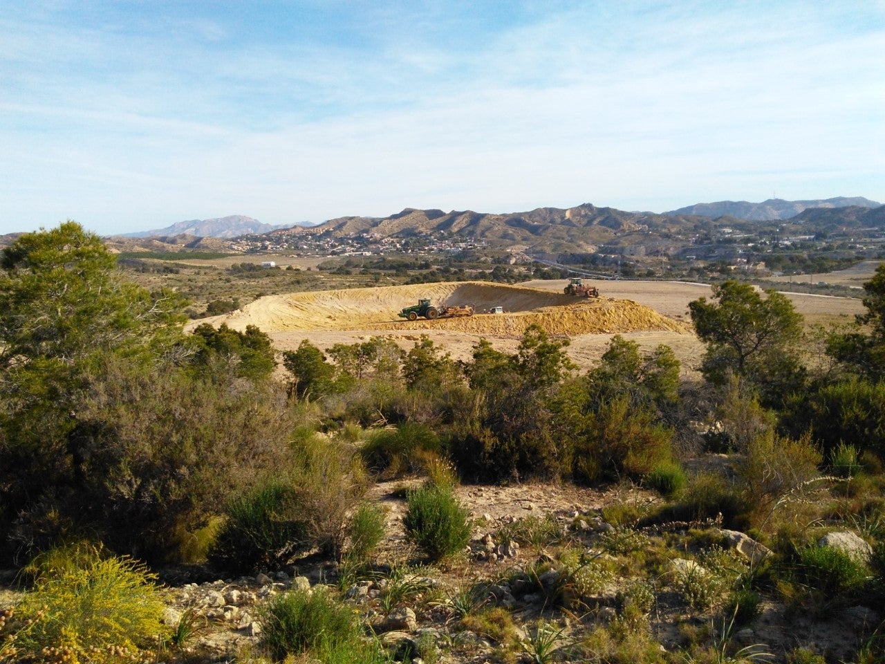Margalló-Ecologistes en Acció denuncia que se han arado terrenos forestales en la partida de Carrús de Elche Margalló-Ecologistes en Acció denuncia que se han arado terrenos forestales en la partida de Carrús de Elche