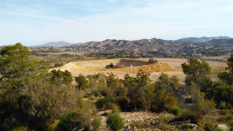 Terrenos en la partida de Carr&uacute;s de Elche.