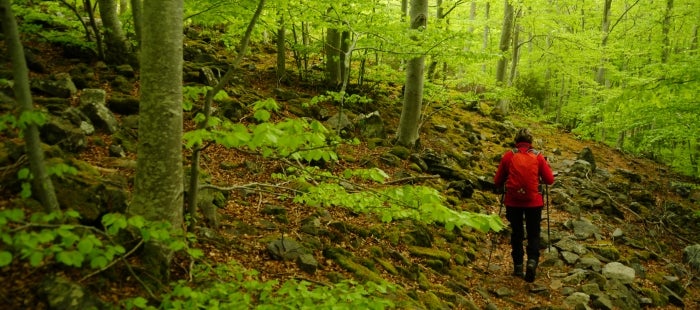 Los Espacios Naturales Protegidos abrirán al 50% de su aforo Los Espacios Naturales Protegidos abrirán al 50% de su aforo