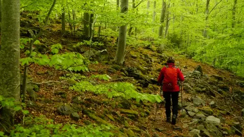 Piden responsabilidad para disfrutar de los Espacios Naturales Protegidos de Aragón Piden responsabilidad para disfrutar de los Espacios Naturales Protegidos de Aragón