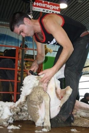 Cristóbal Burguete, campeón de España de esquileo: "El hombre ha llegado donde ha llegado gracias a la oveja" Cristóbal Burguete, campeón de España de esquileo: "El hombre ha llegado donde ha llegado gracias a la oveja"