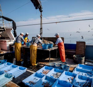Los pescadores separan y guardan todos los residuos que encuentran en las redes para tirarlos an contenedor al llegar a puerto Los pescadores separan y guardan todos los residuos que encuentran en las redes para tirarlos an contenedor al llegar a puerto