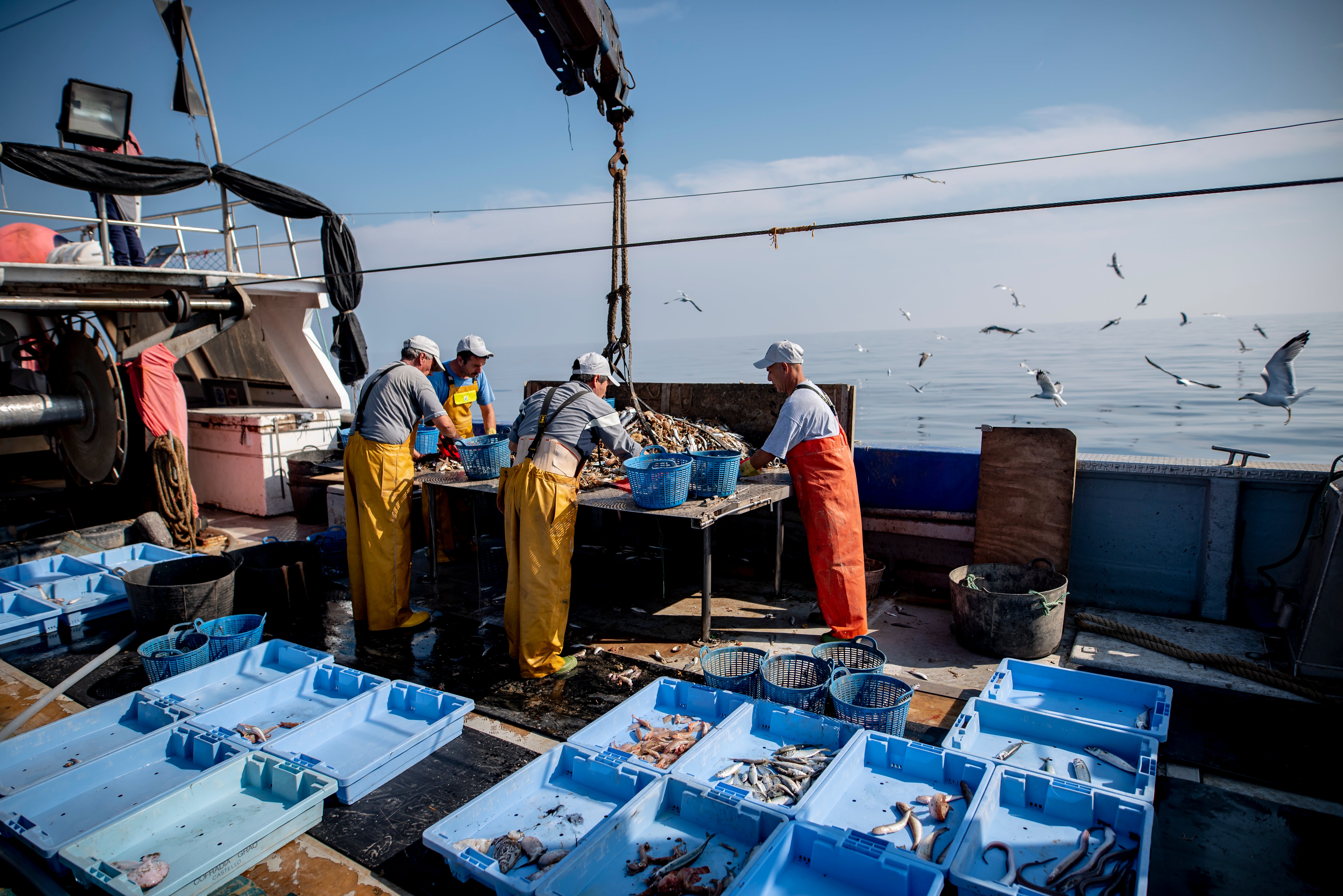 Celeiro y Burela facturan la cuarta parte del total de la pesca fresca en Galicia Celeiro y Burela facturan la cuarta parte del total de la pesca fresca en Galicia