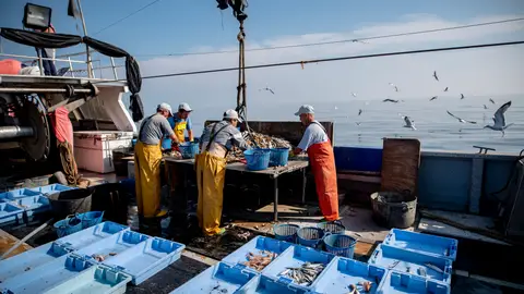 Los pescadores separan y guardan todos los residuos que encuentran en las redes para tirarlos an contenedor al llegar a puerto PESCA