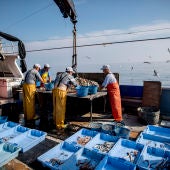 Los pescadores separan y guardan todos los residuos que encuentran en las redes para tirarlos an contenedor al llegar a puerto
