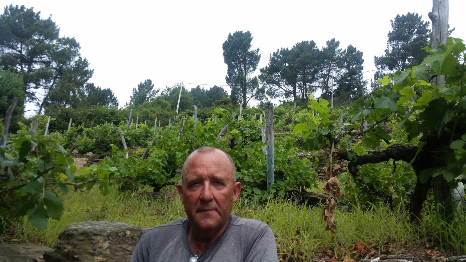 Pepe Sierra: "Global Omnium trabaja en la conservación de la biodiversidad" Pepe Sierra: "Global Omnium trabaja en la conservación de la biodiversidad"