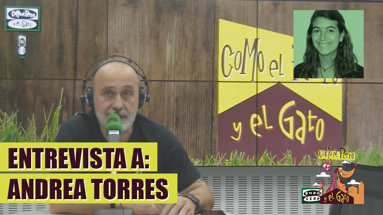 El 86% de los españoles cree que no es seguro tener un animal exótico como mascota El 86% de los españoles cree que no es seguro tener un animal exótico como mascota
