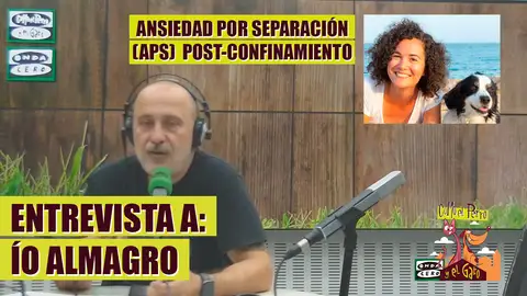 Problemas de comportamiento tras el confinamiento Problemas de comportamiento tras el confinamiento