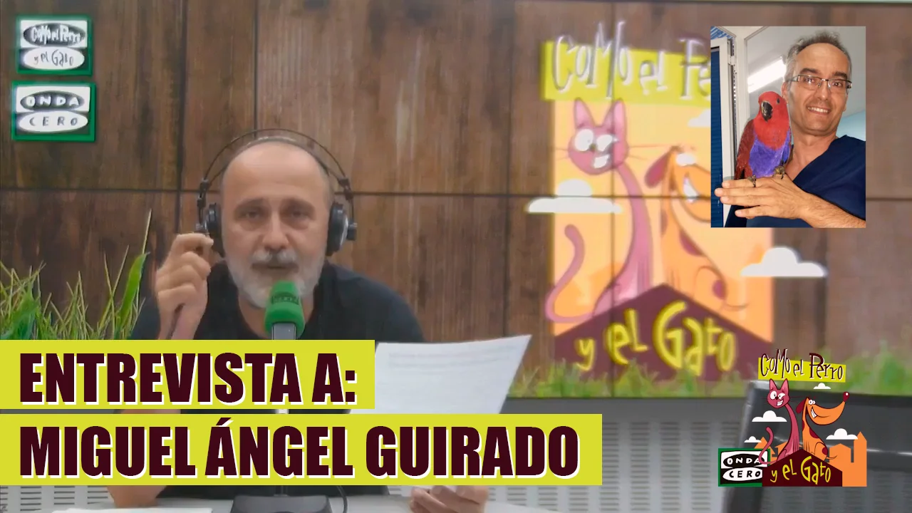 Entrevista a Miguel Ángel Guirado de SEO/Birdlife Ceuta Entrevista a Miguel Ángel Guirado de SEO/Birdlife Ceuta