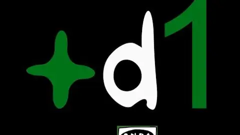 MAS DE UNO ELCHE MAS DE UNO ELCHE