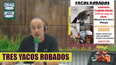 Yacos robados