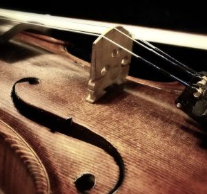 Violín Violín