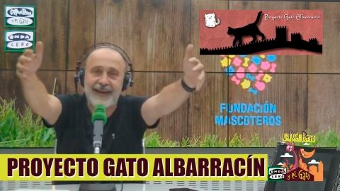 Entrevista gatos envenenados en Albarrac&iacute;n