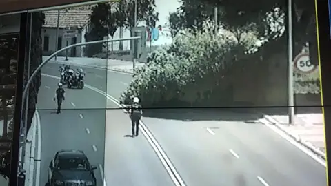 Un olmo ha caído en la ronda de Ciudad Real Un olmo ha caído en la ronda de Ciudad Real