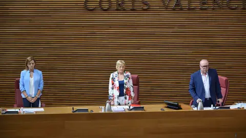 La consellera Ana Barceló en Les Corts La consellera Ana Barceló en Les Corts