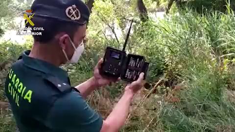 Suspenden la b&uacute;squeda del cocodrilo tras no hallar indicios de su posible presencia en el r&iacute;o 
