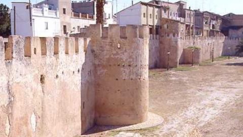 alcira