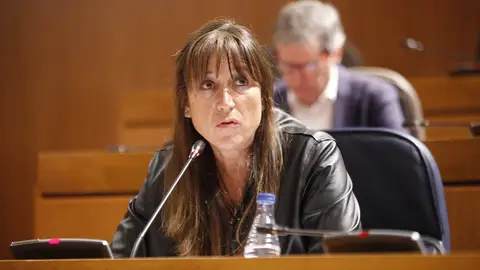 La consejera de Sanidad durante el pleno de las Cortes La consejera de Sanidad durante el pleno de las Cortes