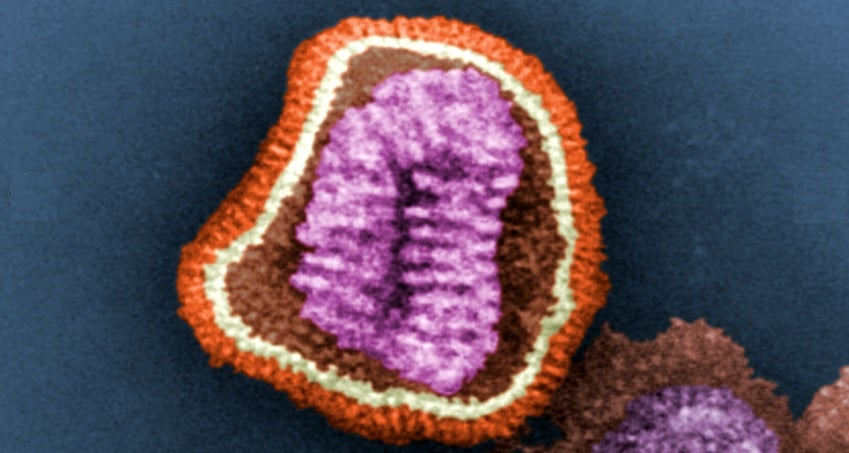 La incidencia de gripe sube un 54 % en atención primaria en Extremadura La incidencia de gripe sube un 54 % en atención primaria en Extremadura