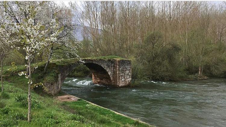 Más de uno La Rioja 15/06/2020 Bobadilla Más de uno La Rioja 15/06/2020 Bobadilla