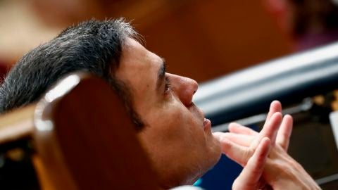Pedro S&aacute;nchez en el Congreso de los Diputados