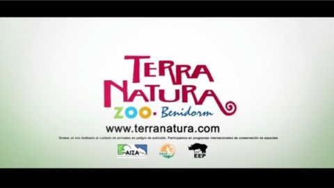 TERRA NATURA ZOO