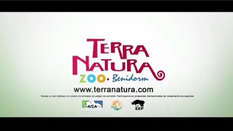 TERRA NATURA ZOO TERRA NATURA ZOO