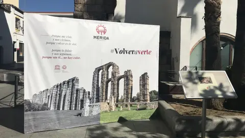 Volver a verte Volver a verte