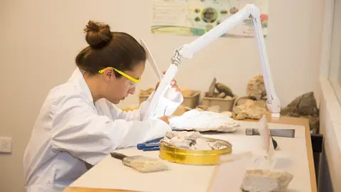 Recomiendan evaluar el impacto del confinamiento en la productividad de las cientificas Recomiendan evaluar el impacto del confinamiento en la productividad de las cientificas