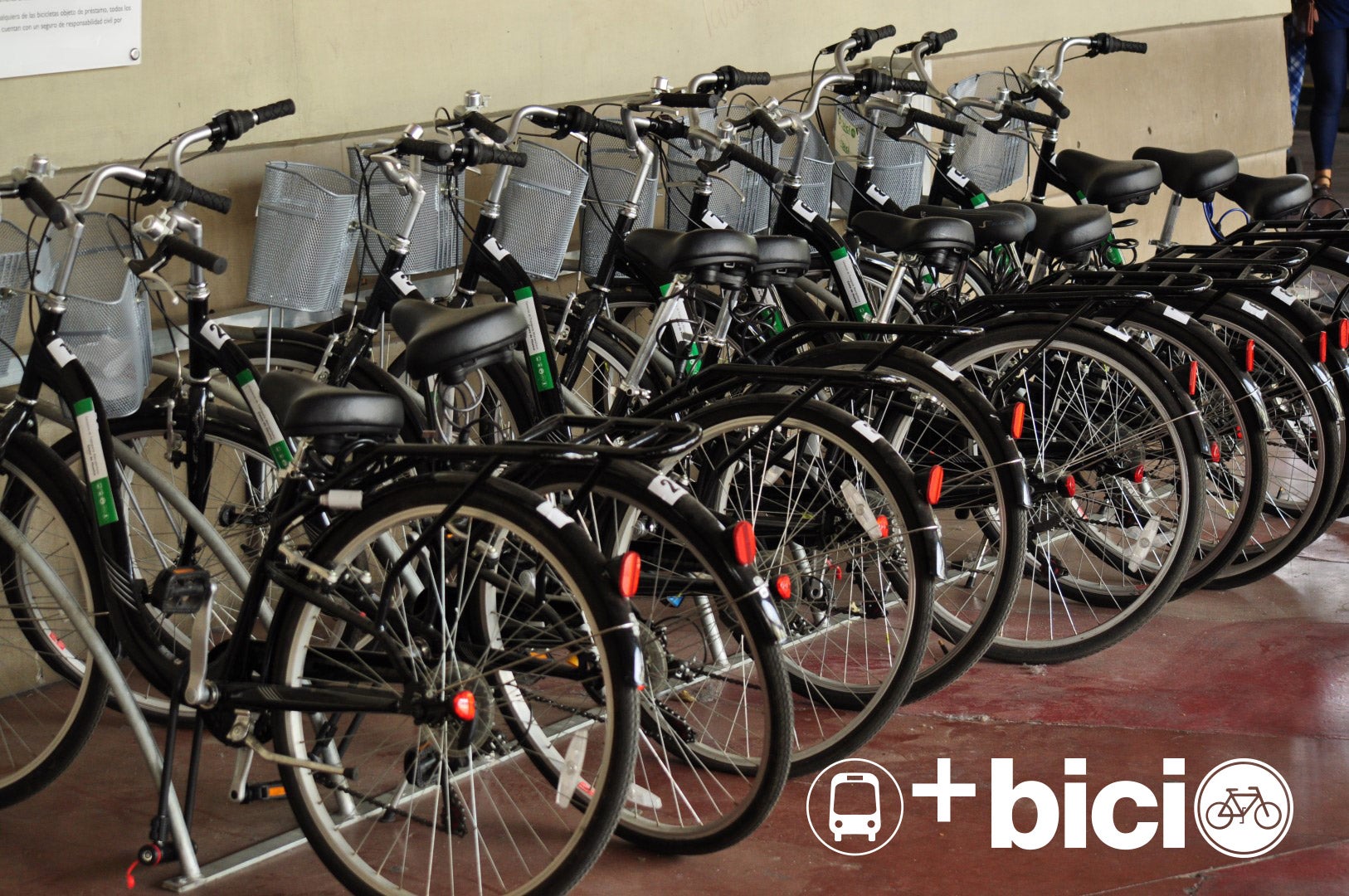 El Consorcio Provincial de Transporte se sube al carro de la sostenibilidad y potencia el Bus+Bici El Consorcio Provincial de Transporte se sube al carro de la sostenibilidad y potencia el Bus+Bici