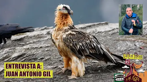 Entrevista a Juan Antonio Gil Entrevista a Juan Antonio Gil