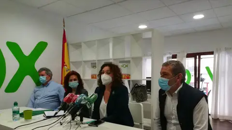 VOX pide paralizar el proyecto de Los Jardinillos Ayuntamiento de Palencia