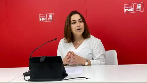 PSOE presenta su propuesta para el Verano Cultural en Palencia Ayuntamiento de Palencia