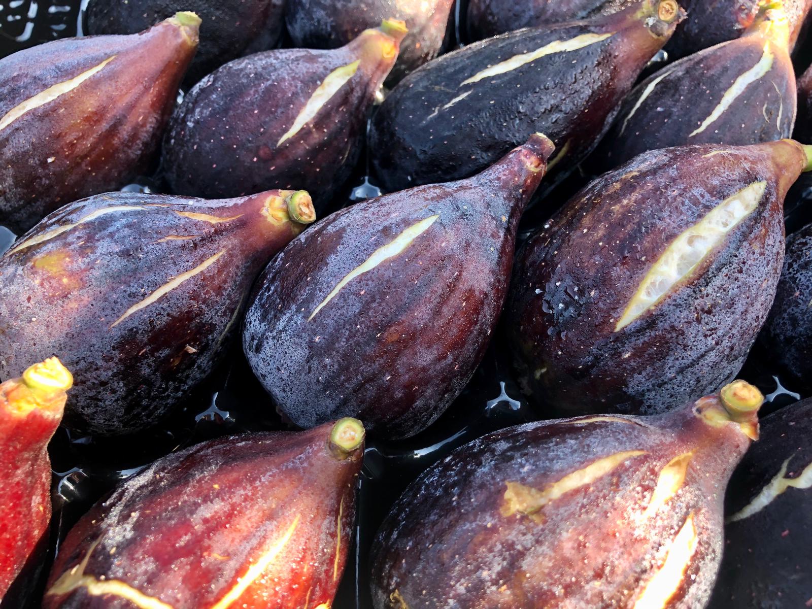 La campaña de higos y brevas supondrá un impacto económico de ocho millones de euros La campaña de higos y brevas supondrá un impacto económico de ocho millones de euros