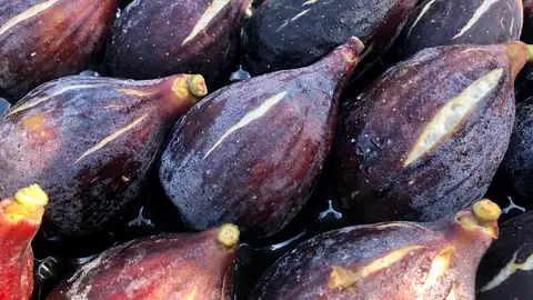 Higos y brevas del Camp d'Elx Higos y brevas del Camp d'Elx