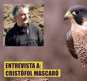 Entrevista a Cristòfol Mascaró Entrevista a Cristòfol Mascaró