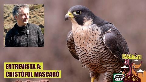 Entrevista a Crist&ograve;fol Mascar&oacute;
