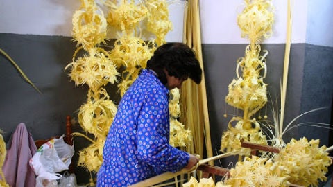 Artesana de la palma blanca en Elche.