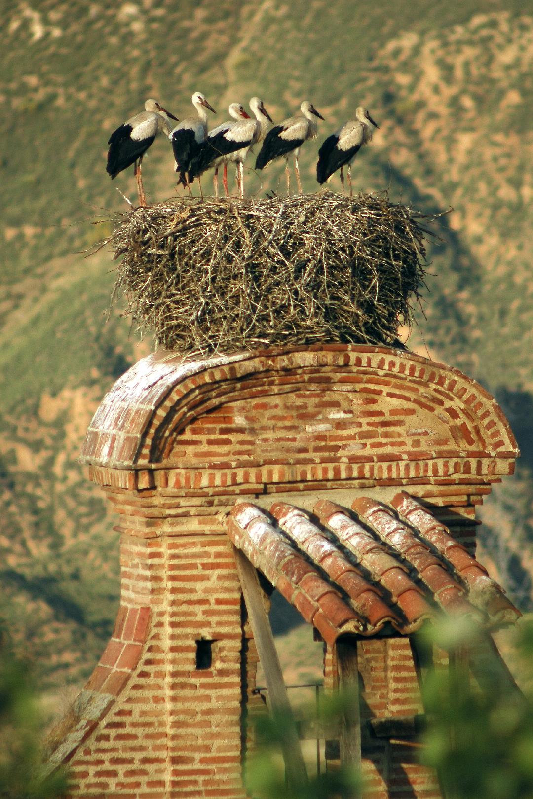 Más de uno Alcalá 22/06/2020 Más de uno Alcalá 22/06/2020