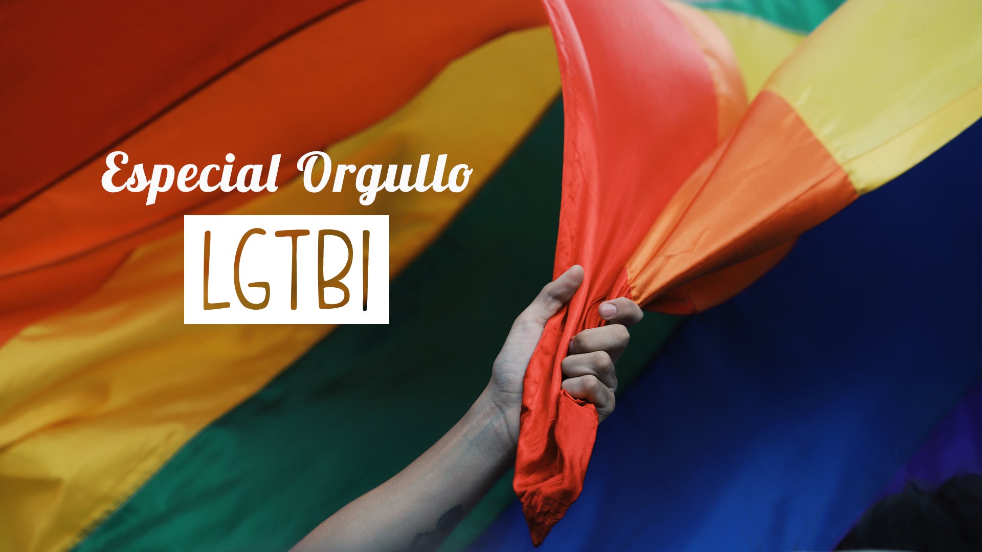 La homofobia a través de la psicología La homofobia a través de la psicología