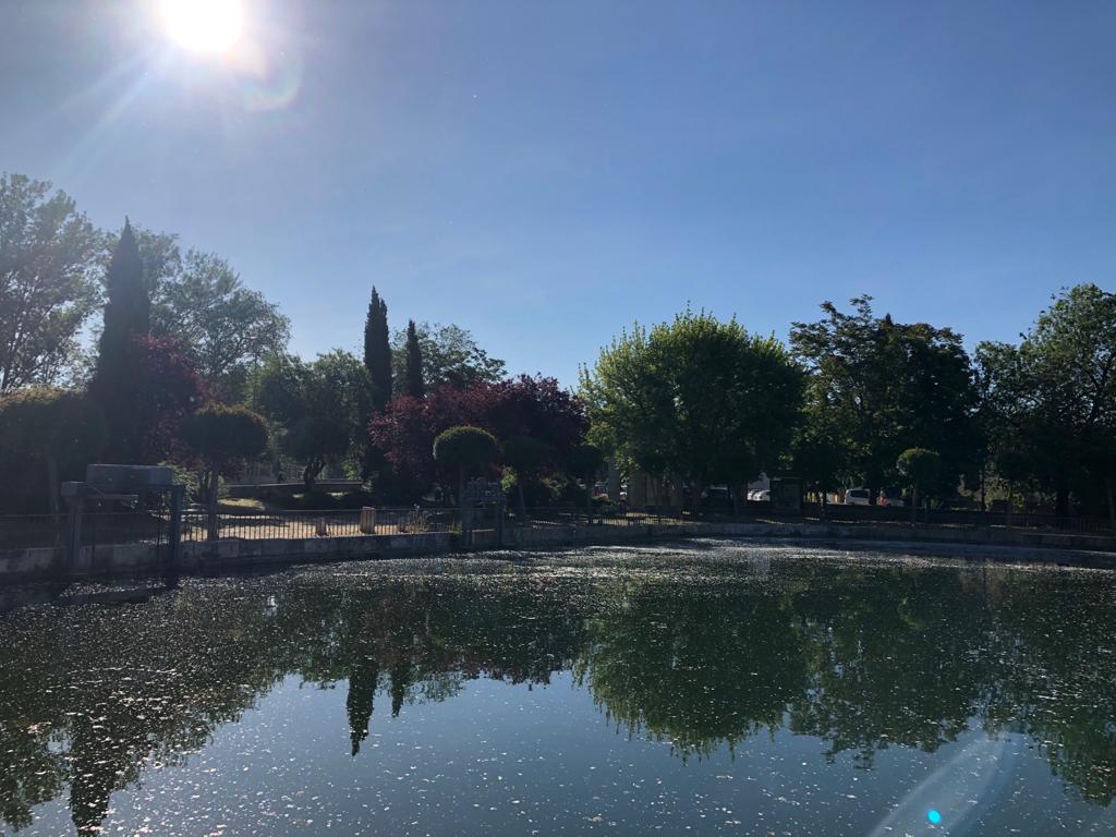 Comunicado de la plataforma "Salvemos la Dársena" Comunicado de la plataforma "Salvemos la Dársena"