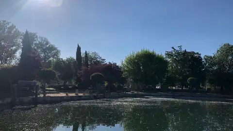 Comunicado de la plataforma "Salvemos la Dársena" Medio ambiente