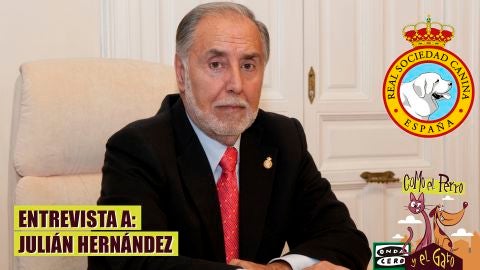 Juli&aacute;n Hern&aacute;ndez, Presidente de la RSCE