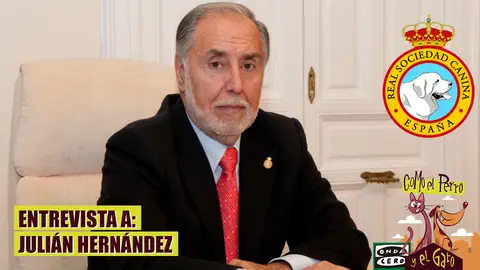 Julián Hernández, Presidente de la RSCE Julián Hernández, Presidente de la RSCE