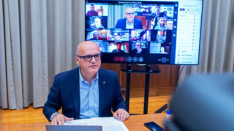 Manuel Baltar, na reuni&oacute;n telem&aacute;tica do Consello asesor de cultura
