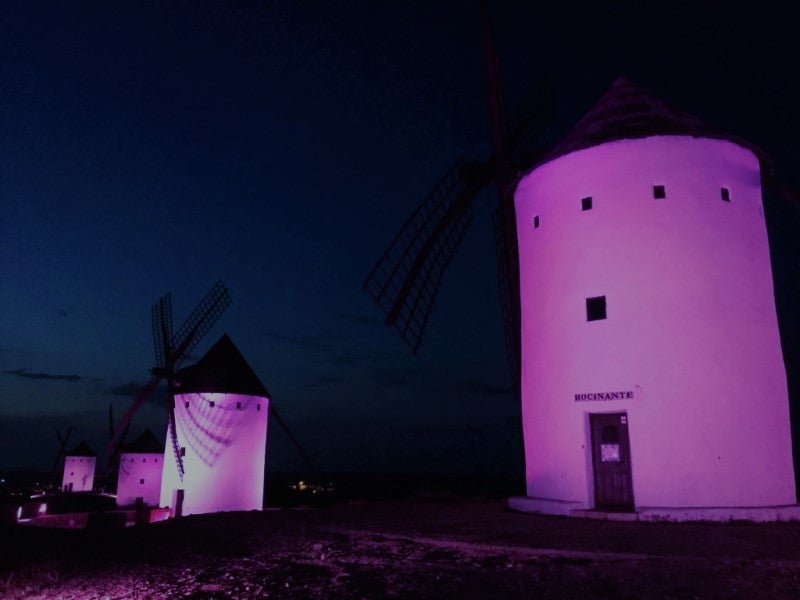 El síndrome de Dravet iluminará de morado los molinos de viento y la fachada del ayuntamiento El síndrome de Dravet iluminará de morado los molinos de viento y la fachada del ayuntamiento