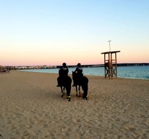 Agentes de la Policía Local de Palma vigilando la playa de Palma durante la noche de San Juan. Agentes de la Policía Local de Palma vigilando la playa de Palma durante la noche de San Juan.