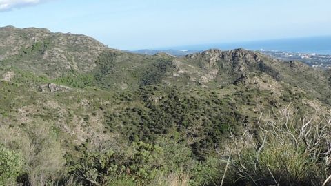 parcela