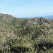 parcela Marbella